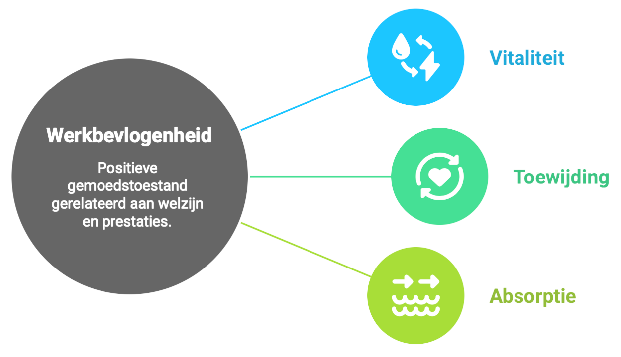 Cognera - Slimme bedrijfsanalyse