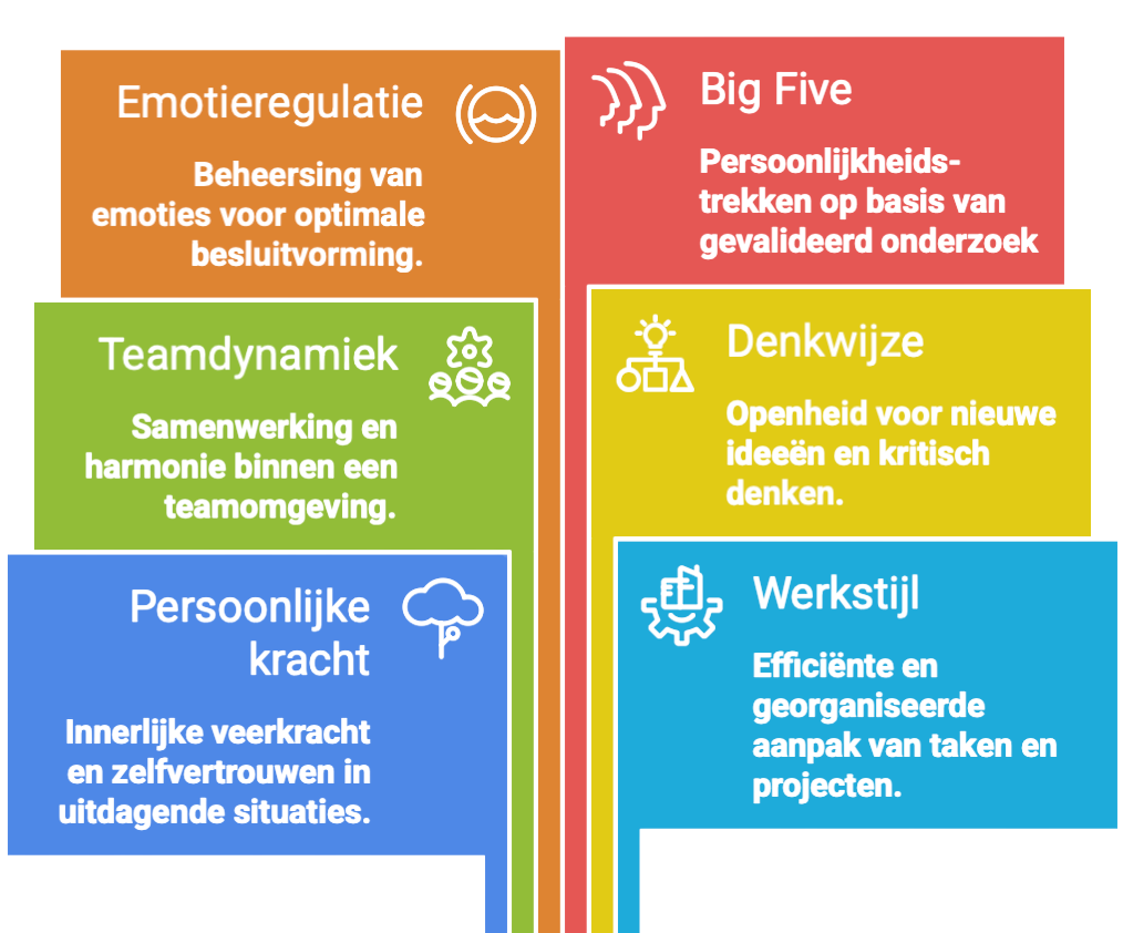 Werkgerelateerde gedragsstijl en persoonlijkheid meten