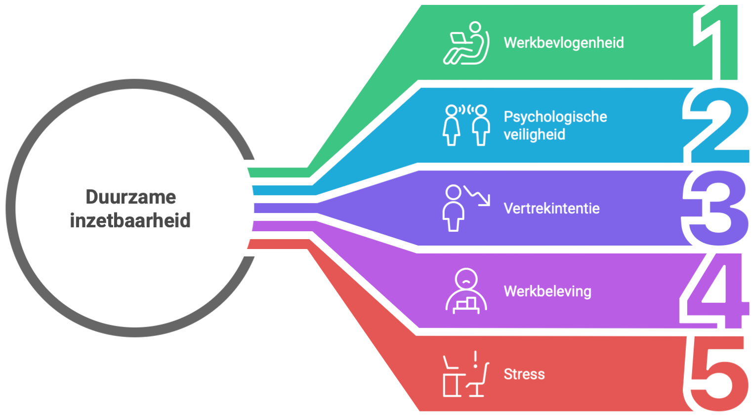 Cognera - Slimme bedrijfsanalyse